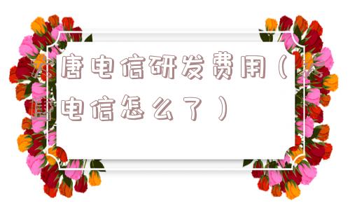 大唐电信研发费用（大唐电信怎么了）