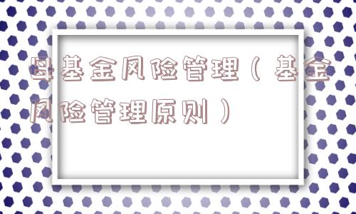 母基金风险管理（基金风险管理原则）