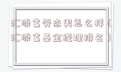 汇添富劳杰男怎么样（汇添富基金经理排名）