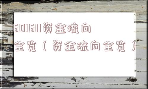 601611资金流向全览（资金流向全览）