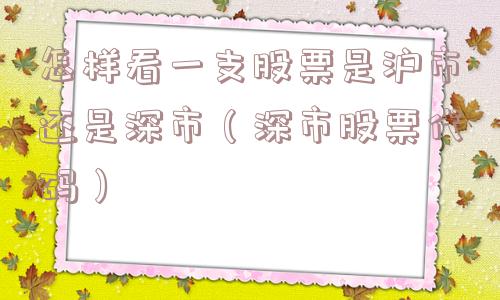 怎样看一支股票是沪市还是深市（深市股票代码）