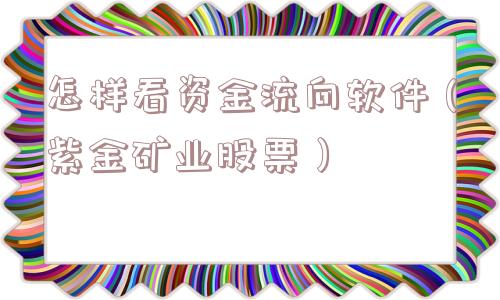 怎样看资金流向软件（紫金矿业股票）