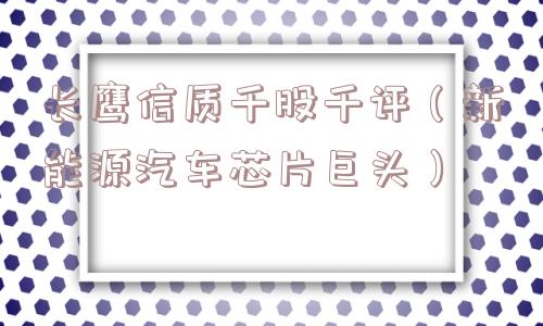 长鹰信质千股千评（新能源汽车芯片巨头）