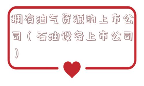 拥有油气资源的上市公司（石油设备上市公司）