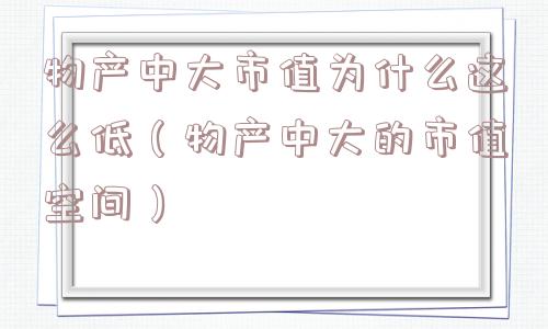 物产中大市值为什么这么低(物产中大的市值空间) 物产中大市值为什么这么低(物产中大的市值空间)