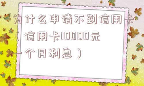 为什么申请不到信用卡（信用卡10000元一个月利息）
