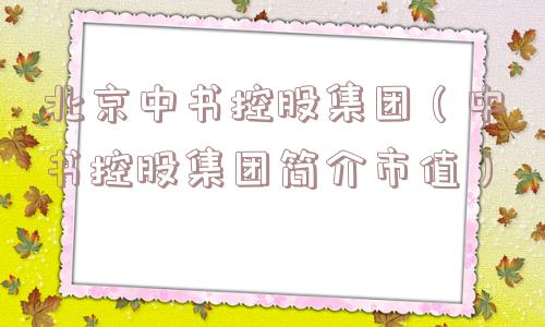 北京中书控股集团（中书控股集团简介市值）