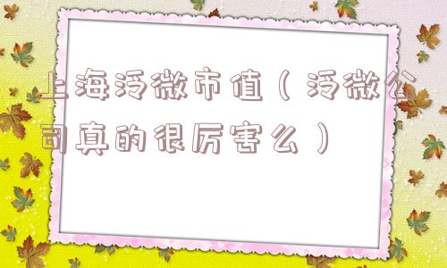 上海泛微市值(泛微公司真的很厉害么) 上海泛微市值(泛微公司真的很厉害么)