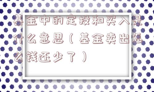 基金中的定投和买入是什么意思（基金卖出怎么钱还少了）