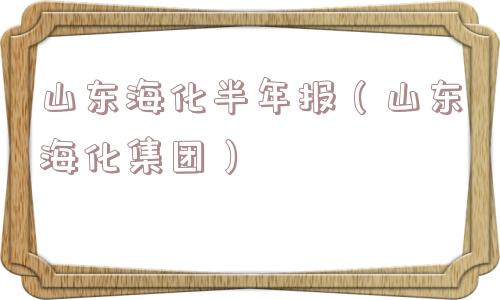山东海化半年报（山东海化集团）