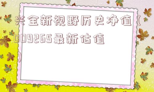 兴全新视野历史净值（009265最新估值）