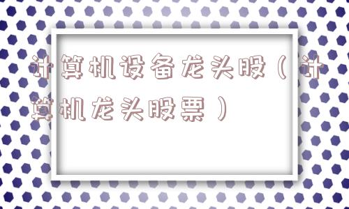 计算机设备龙头股（计算机龙头股票）