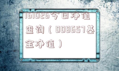 161026今日净值查询（008657基金净值）