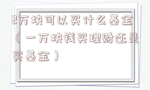2万块可以买什么基金（一万块钱买理财还是买基金）