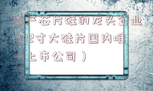 生产芯片硅的龙头企业（12寸大硅片国内唯一上市公司）