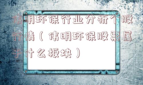 伟明环保行业分析个股行情（伟明环保股票属于什么板块）