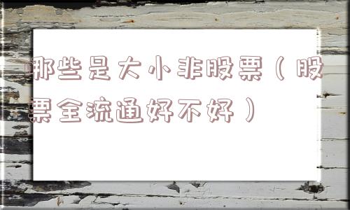 哪些是大小非股票（股票全流通好不好）