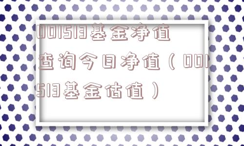 001513基金净值查询今日净值（001513基金估值）