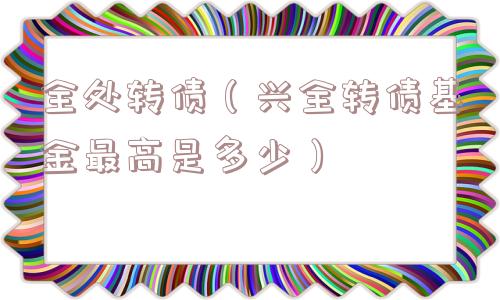全处转债（兴全转债基金最高是多少）