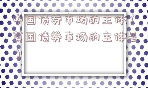 中国债券市场的主体（英国债券市场的主体是）