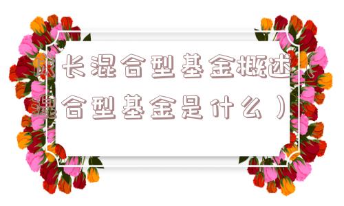 成长混合型基金概述（混合型基金是什么）