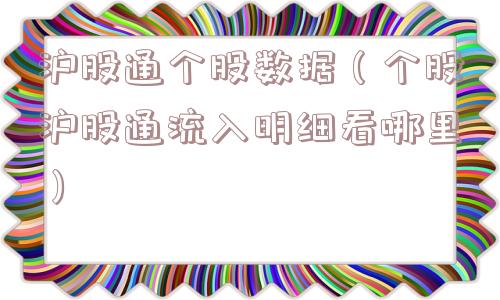 沪股通个股数据（个股沪股通流入明细看哪里）