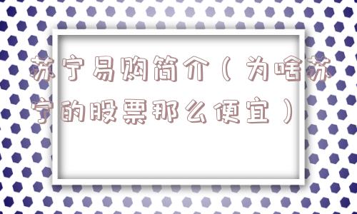 苏宁易购简介（为啥苏宁的股票那么便宜）