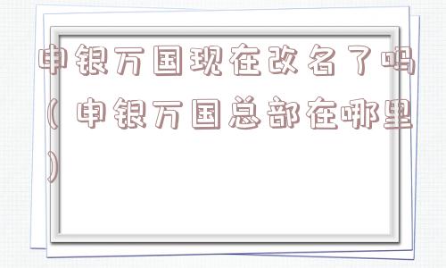 申银万国现在改名了吗（申银万国总部在哪里）