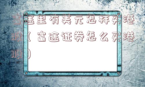 富途里有美元怎样买港股（富途证券怎么买港股）