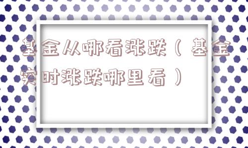 基金从哪看涨跌(基金实时涨跌哪里看) 基金从哪看涨跌(基金实时涨跌哪里看)