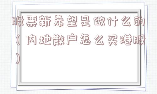 股票新希望是做什么的（内地散户怎么买港股）