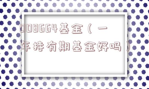 008664基金（一年持有期基金好吗）
