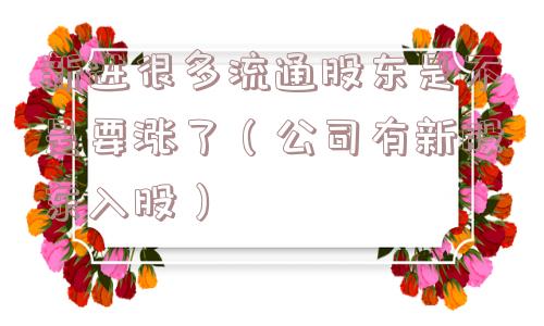 新进很多流通股东是不是要涨了（公司有新股东入股）