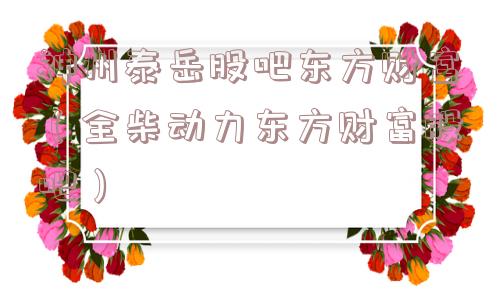 神州泰岳股吧东方财富（全柴动力东方财富股吧）