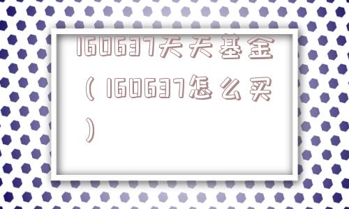 160637天天基金（160637怎么买）